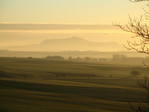 goldener-morgen-9484.jpeg