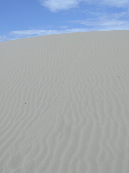 sanddune-2697.jpeg