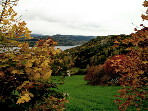 herbst-am-mjosasee-norwegen-9486.jpeg