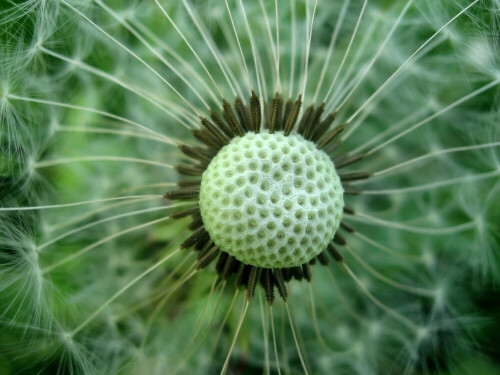 fragile-4388.jpeg