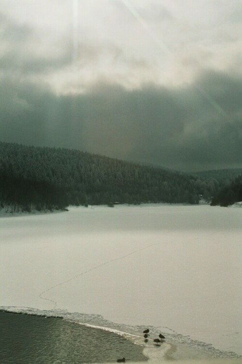 talsperre-falkenstein-6226.jpeg
