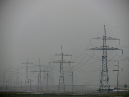 energiewald-5575.jpeg