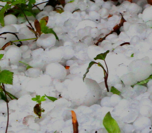hagel-9957.jpeg
