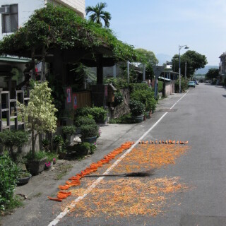mangos-trocknen-8027