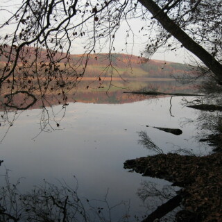 herbst-am-mindelsee-14821