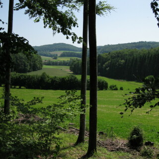 schiener-berg-8075
