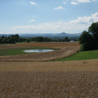 litzelsee-8380