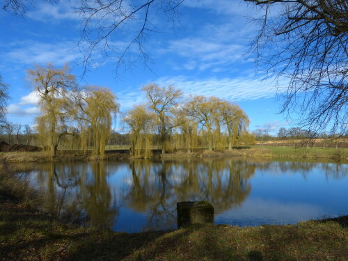 badeweiher-in-triesdorf-10069.jpeg