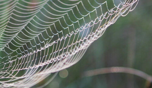 filigrane-kunst-fliegen-beurteilen-es-anders-10642.jpeg