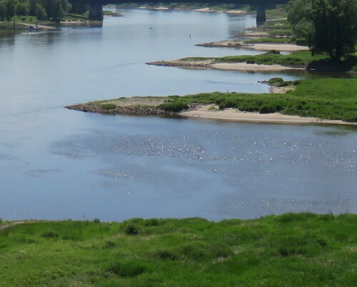 die-elbe-bei-magdeburg-14057.jpeg