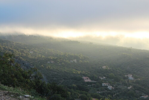 fruher-morgen-in-der-provence-15239.jpeg