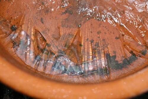 eisstruktur-im-blumentopf-bzw-schale-16287.jpeg