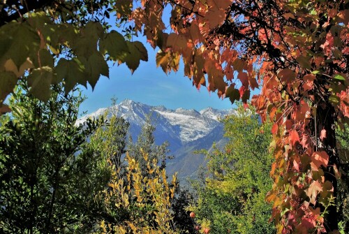 herbst-in-sudtirol-22078.jpeg