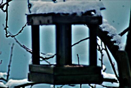 vogel-futter-hauschen-im-schnee-21905.jpeg