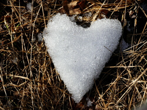 schnee-verabschiedet-sich-herzlich-22273.jpeg