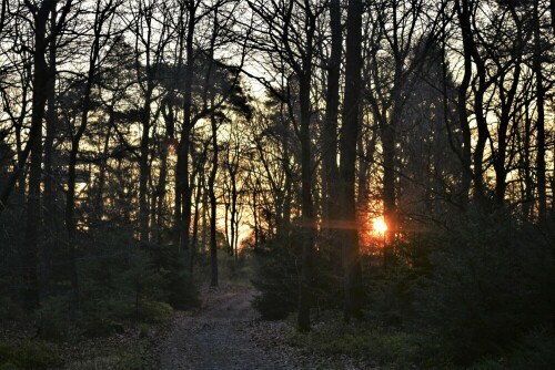 sonnenaufgang-22462.jpeg