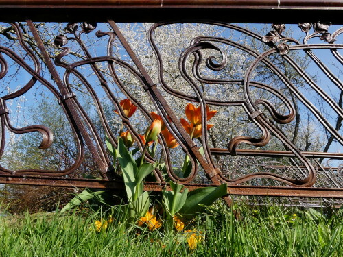 jugendstil-trifft-fruhling-22510.jpeg