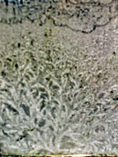 raureif-als-naturlicher-kunstler-auf-glas-23904.jpeg