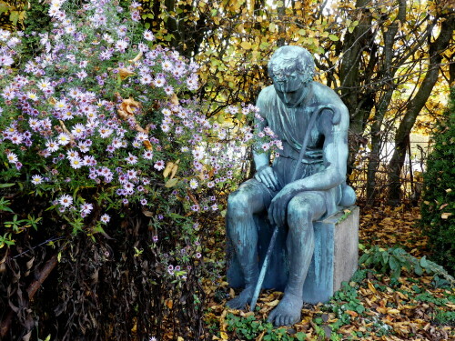 anscheinend-keine-freude-an-blumen-25639.jpeg