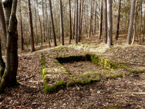 limesturmfundament-im-filchenharder-forst-26173.jpeg