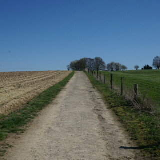 obstweg-in-leichlingen-26315