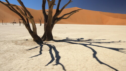 imdeadvlei-26469.jpeg