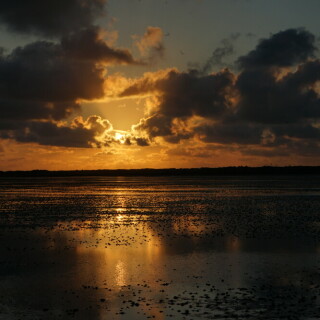 abendstimmung-im-juister-watt-27110