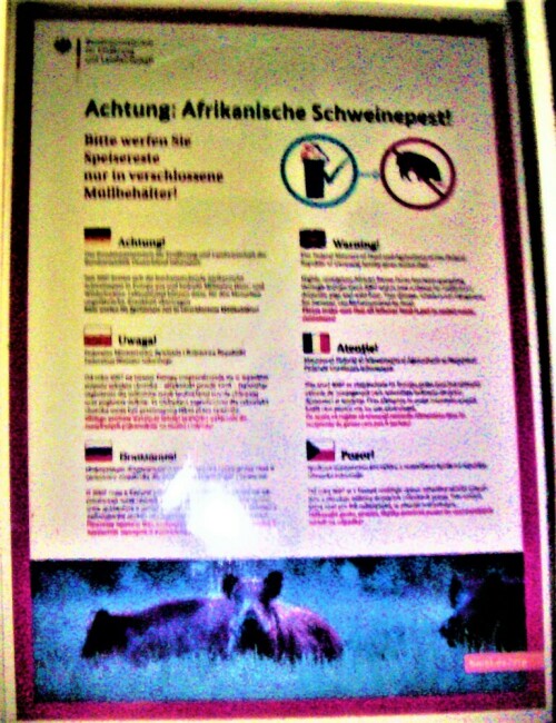 warntafel-zur-afrikanischen-sc-27926.jpeg