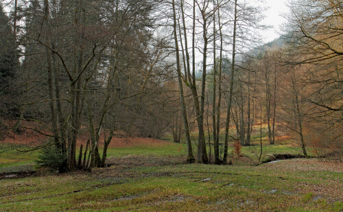 eiterbachtal-28152.jpeg