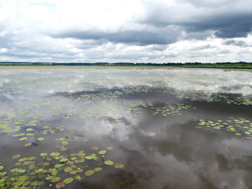 federsee-28541.jpeg