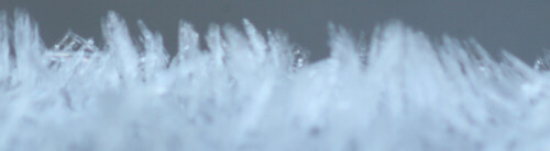 raureif-auch-in-eisnadeln-1-18136.jpeg
