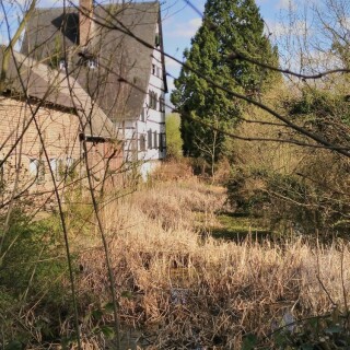 vhs-gartnerei-25854