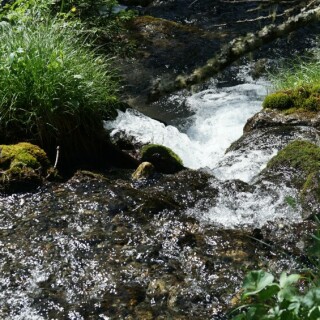 wildbach-30047