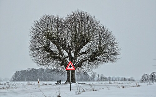 winterlinde-13277.jpeg