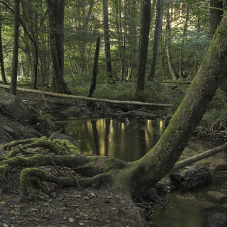 Duerr-Ellenbach-Tal_20240920_0003-HDR1-2-3_HDR-Canon_Web