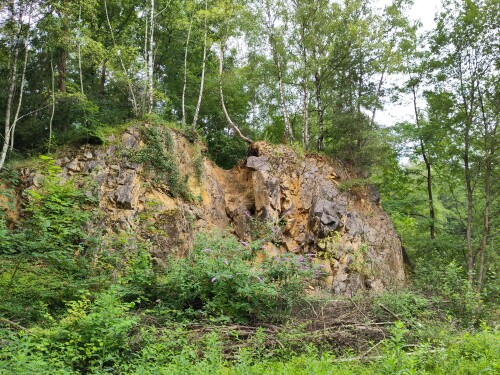 Die ehemalige Grube Cox in Bergisch Gladbach ist heute ein ökologisch artenreiches und geologisch spannendes Naturschuttgebiet.