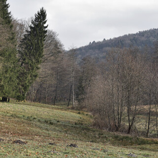 Duerr-Ellenbach-Tal_20250311_0005_B_HDR3_Natausgew_Tag_nat_Web