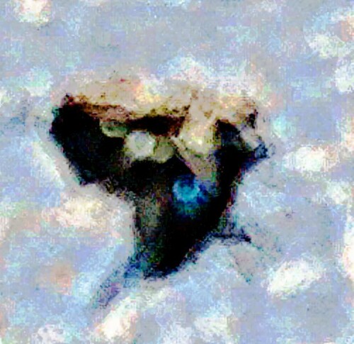 K800_Rindenspringspinne-mit-BeuteCalliphora-vicina_upscayl_1x_ultrasharp.jpeg