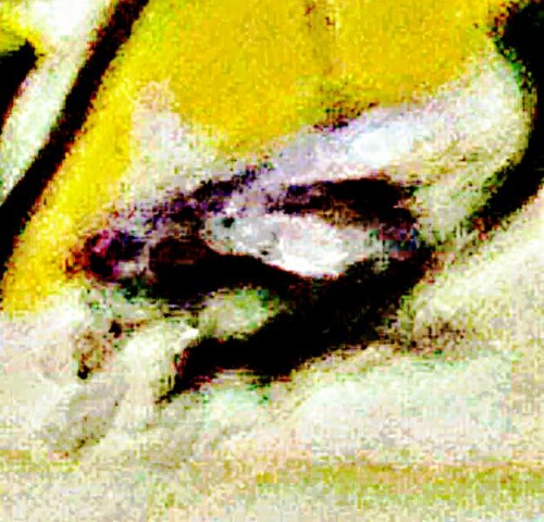 K800_SchmeisfliegeCalliphoridae_upscayl_1x_ultrasharp.jpeg