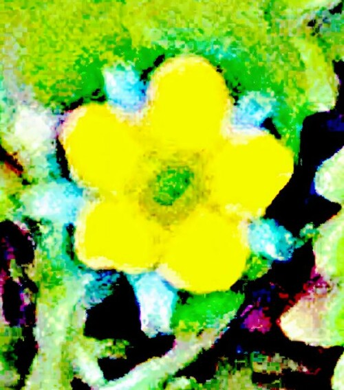 K800_StadtnelkenwurzGeum-urbanumL._upscayl_1x_ultrasharp.jpeg