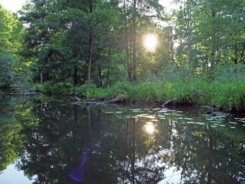 2.2-spreewald.jpeg