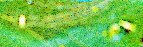 K800_Eier-einer-GallmilbeAceria-macrorhynchus_upscayl_1x_ultrasharp.jpeg