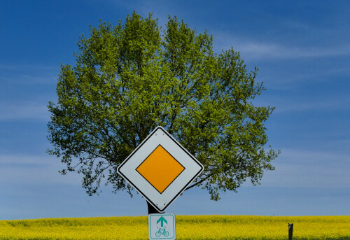 2025-04-28-Vorfahrt-fur-Natur-2.jpeg