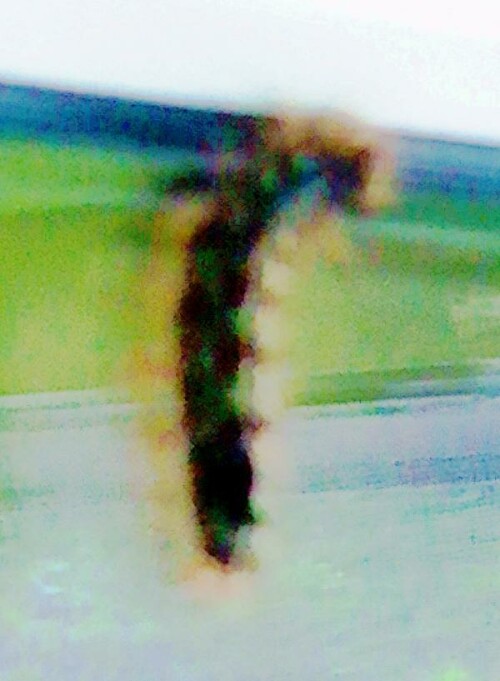 K800_Ruape-eines-Zimtbaren_upscayl_1x_ultrasharp.jpeg