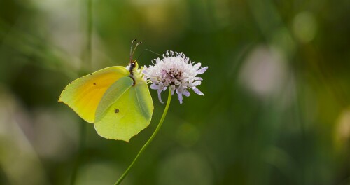 _DSC6860.jpeg