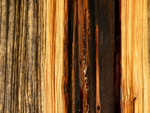 2025-08-01-farbiger-Holzaufbruch-1.jpeg