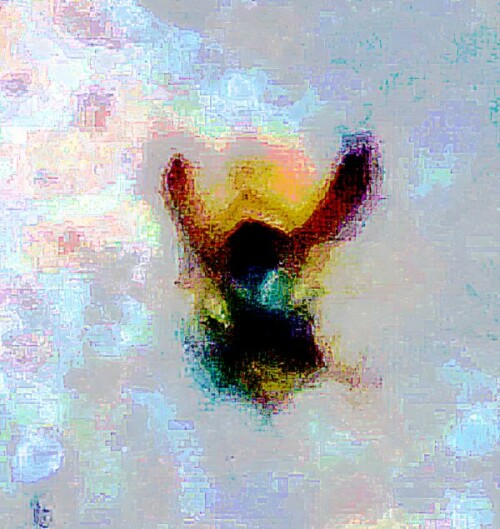 K800_Gemeine-WespeVespula-vulgar8sL.-1758_upscayl_1x_upscayl-standard-4x.jpeg