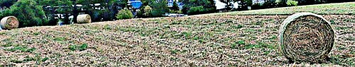 K800_Drei-Heuballen-nordostlich-des-Rommelsberges-August-2025.jpeg