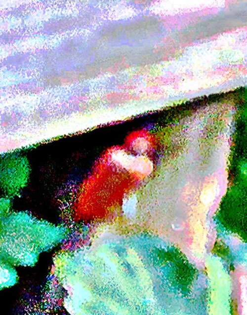 K800_Gemeiner-BockkaferStictoleptura-ruabraL.-1758weiblich_upscayl_1x_upscayl-standard-4x.jpeg