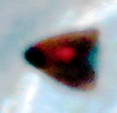 K800_Zimtbar_upscayl_1x_upscayl-standard-4x.jpeg